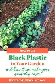 Using Black Plastic In Your Garden Can Make Gardening Easier It Helps Control Weeds And Can Reduce T In 2021 Container Gardening Vegetables Reduce Weeds Autumn Garden