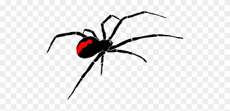 Spiders are creepy, crawly insects that have long been depicted in popular culture, symbolism and mythology. Related Red Back Spider Clipart Red Back Spider Clipart Free Transparent Png Clipart Images Download