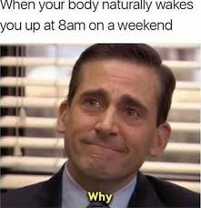 Meme generator, instant notifications, image/video download, achievements and many more! Monday Memes For Work
