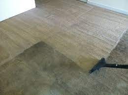 Step 6 vacuum over the carpet with a wet/dry vacuum to pick up excess moisture and suds. Professional Carpet Cleaning Before And After Photos Dream Steam Carpet Cleaning Service