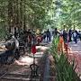 Tilden Park Steam Train at the Redwood Valley Railway from www.visitberkeley.com