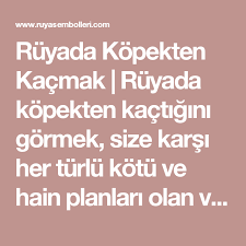 Ruyada Kopekten Kacmak Ruyada Kopekten Kactigini Gormek Size Karsi Her Turlu Kotu Ve Hain Planlari Olan Ve Iyiliginizi Ruyadakopektenkacmak Kopek Ruya