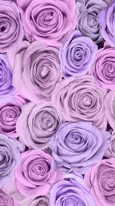 Pin By Katherine Ortiz On Phone And Tablet Wallpapers Backgrounds I Stylized Purple Roses Wallpaper Flower Background Iphone Floral Wallpaper Iphone