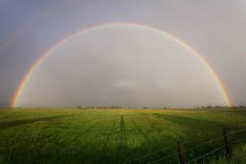 And if you want more … Weather Trivia For Kids The Ultimate Quiz Come Rain Or Shine