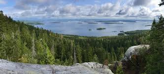 Koli arıyorsan site site dolaşma! Koli National Park Lieksa Tourist Attractions Tropter Com