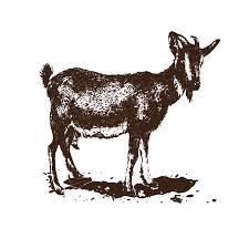 Download Harley Farms Goat Dairy California Cheese Trail