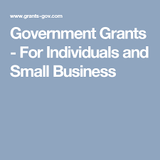 Government Grants For Individuals And Small Business Government Grants Business Grants Grants