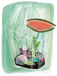 Smarty Plants Flower Illustration Illustration Floral Illustrations