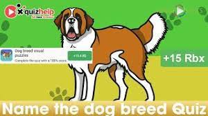 Man's best friend has a funny way of communicating sometimes, but almost everything your dog does has meaning. Name The Dog Breed Quiz Answers 100 Earn 15 Rbx Video Facts Youtube