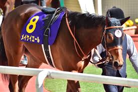 名無しさん＠実況で競馬板アウト 2021/08/29(日) 15:42:55.31 id:022h2xix0 大して成長してないし 1番人気はねーわな 2: Jra ãƒ¡ã‚¤ã‚±ã‚¤ã‚¨ãƒ¼ãƒ«å¾©å¸°æˆ¦ã«æ­¦è±ŠãŒ ãƒãƒ„ãƒ³ å®£è¨€ ã©ã£ã¡ã‹ã§ã™ã‚ˆã­ æ˜Žè¨€é¿ã'ã‚‹ã‚‚ã¤ã„ã«æ±ºæ–­ã‹ æ¨ªå±±å…¸å¼˜ã®ãŠæ ªã‚'å¥ªã†ãƒžã‚¸ãƒƒã‚¯ã«æœŸå¾… Gj