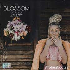 All electronic music file format: Sha Sha Gijima Baleka Ft Dj Maphorisa Kabza De Small Afrobeat Co Za