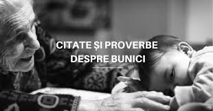 54 Proverbe și Citate Despre Bunici Care Iți Vor Incălzi Inima