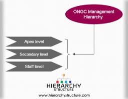 British Airways Management Hierarchy Chart