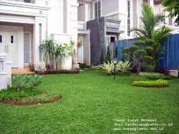 Rumput golf cocok untuk taman rumah tinggal. Jenis Rumput Untuk Taman Dan Cara Perawatannya Tukang Taman