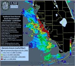 Red Tide Florida Toxic Algae Bloom Returns To Southwest Beaches