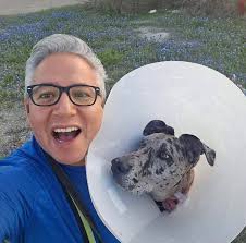 What pellet grill brand is recommended for $600?