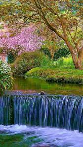 Pin By Jason Dooley On Beautiful Nature In 2020 Nature Wallpaper Beautiful Nature Spring Wallpaper