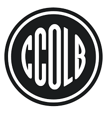 Club Ciclista Olímpico de La Banda