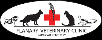 Maybe you would like to learn more about one of these? Veterinarian In Paducah Ky Full Service Vet Clinic Local Animal Hospital