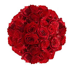 We did not find results for: Amazon Com 100 Red Roses Beautiful Fresh Cut Flowers Next Day Delivery Grocery Gourmet Food