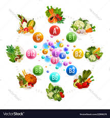 Nutrition Of Vitamins And Minerals