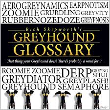 Richard Skipworth S Greyhound Glossary Forever Hounds Trust Greyhound G Words Glossary