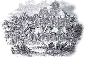 8th Our Past 03 – Grafosyss IAS