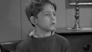 The Andy Griffith Show Season 1 Episode 16 Recap