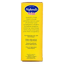 Hyland'S Cold And Cough 4 Kids, Cough Syrup Medicine For Kids,  Decongestant, Sore Throat Relief, Natural Treatment For Common Cold  Symptoms, 4 Fl Oz Day Single Pack
