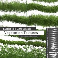 Vegetation Foliage Textures Photoshop Brushes By Redheadstock Gimp Brushes Photoshop Textures Photoshop Brushes
