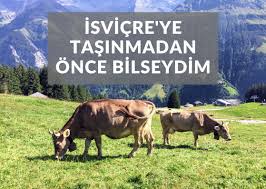 İsviçre seyahat planlarınızda yer alıyor mu bilmiyoruz ancak bu yazıyı okuduktan sonra siz de i̇sviçre hayranı dünyanın en mutlu ülkelerinden biri olan i̇sviçre, hem jeopolitik konumu hem de yaşam. Isvicre Ye Tasinmadan Once Bilseydim Gezgin Anne