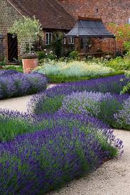 Beautifully Restored Walled Tudor Garden In West Sussex Love All That Lavender Gardenphotography Dream Garden Beautiful Gardens Landscape Design