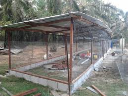 Pembekal Ayam Kampung Johor 2014