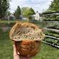 Beginners Sourdough Workshop