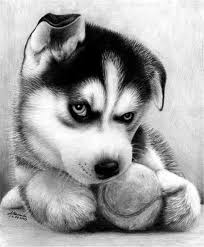 We did not find results for: 40 Realistic Animal Pencil Drawings