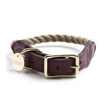 Pin On Collar Junkie