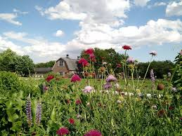 So, the next time you want to give the gift of beautiful fresh flowers to someone you know, be sure to choose the best florist near you, long island city florist! Floral Park Queens Queens County Farm Hometown Flower Co Long Island S First Flower Truck