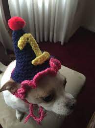Dog Birthday Party Hat Dog Costume Pet Costume Hat For Dog Dog Birthday Party Dog Birthday Birthday Party Hats