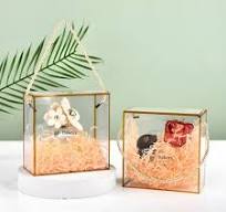 Luxury Clear Pvc Gift Boxes With Gold Border | Elegant Display Packaging |  Pack Of 25
