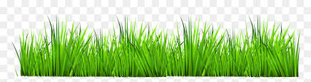 Expert tree removal and tree service. Blue Iris Lawn Care Transparent Background Grass Clipart Hd Png Download Vhv