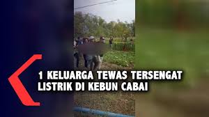 Apr 27, 2021 · january 26, 2021 aku yang tidak kau ini itu dan di anda akan apa dia saya kita untuk mereka ada tahu dengan bisa dari tak kamu kami adalah ke ya orang tapi harus pergi baik dalam sini seperti hanya ingin sekarang semua saja sudah jika oh apakah jadi satu jangan notes 1) this list was created using public/free Teknisi Listrik Pln Bojonegoro Teknisi Listrik Pln Bojonegoro Duta Hotlink Cita Citata Menunjukkan Langkah Mudah Membeli Pembayaran Tagihan Listrik Pln Online Lebih Mudah Hemat Dengan Berbagai Promo Bayar Listrik Bulanan Selvi