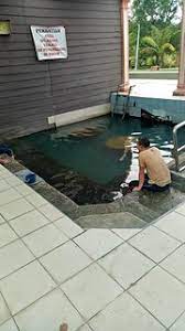 Kolam air panas tok bok, 45 km dari kota bharu. Kolam Air Panas Di Tok Bok Machang Kelantan Air Panas I Flickr