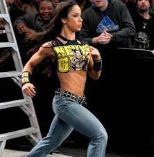 Tlc 2012 John Cena Vs Dolph Ziggler Ladder Match For The Money In The Bank Contract Aj Lee Female Wrestlers Wwe Girls