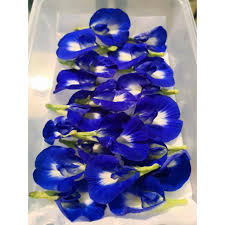 Their dried edible flower petals are vibrant and bright, so make the perfect colour pop for cake decoration, drinks and food. Express Home Delivery Available Fresh Blue Pea Flowers Edible Shopee Singapore