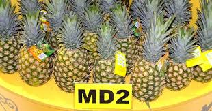 Maybe you would like to learn more about one of these? R Ycvqa8s2i3dm