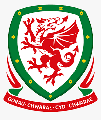 Home of the wales national football teams. Wales Football Team Logo Hd Png Download Kindpng