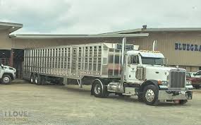 Peterbilt Cattle Haul Farm Trucks Big Trucks Trucks