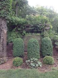 Hiding Generator Behind Lattice Wisteria And Shrubs Garden Arch Garden Shrubs