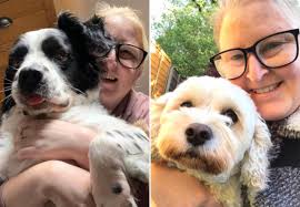 I love dogs of all shapes and sizes