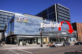 Banfield Pet Hospital Now Soft Opened At The Yards Jdland Com Near Southeast Dc Redevelopment